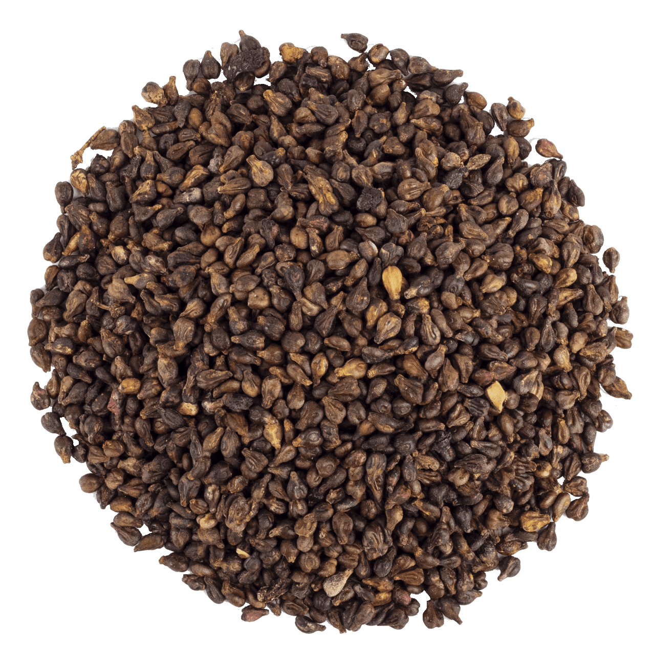 Üzüm Çekirdeği resmi