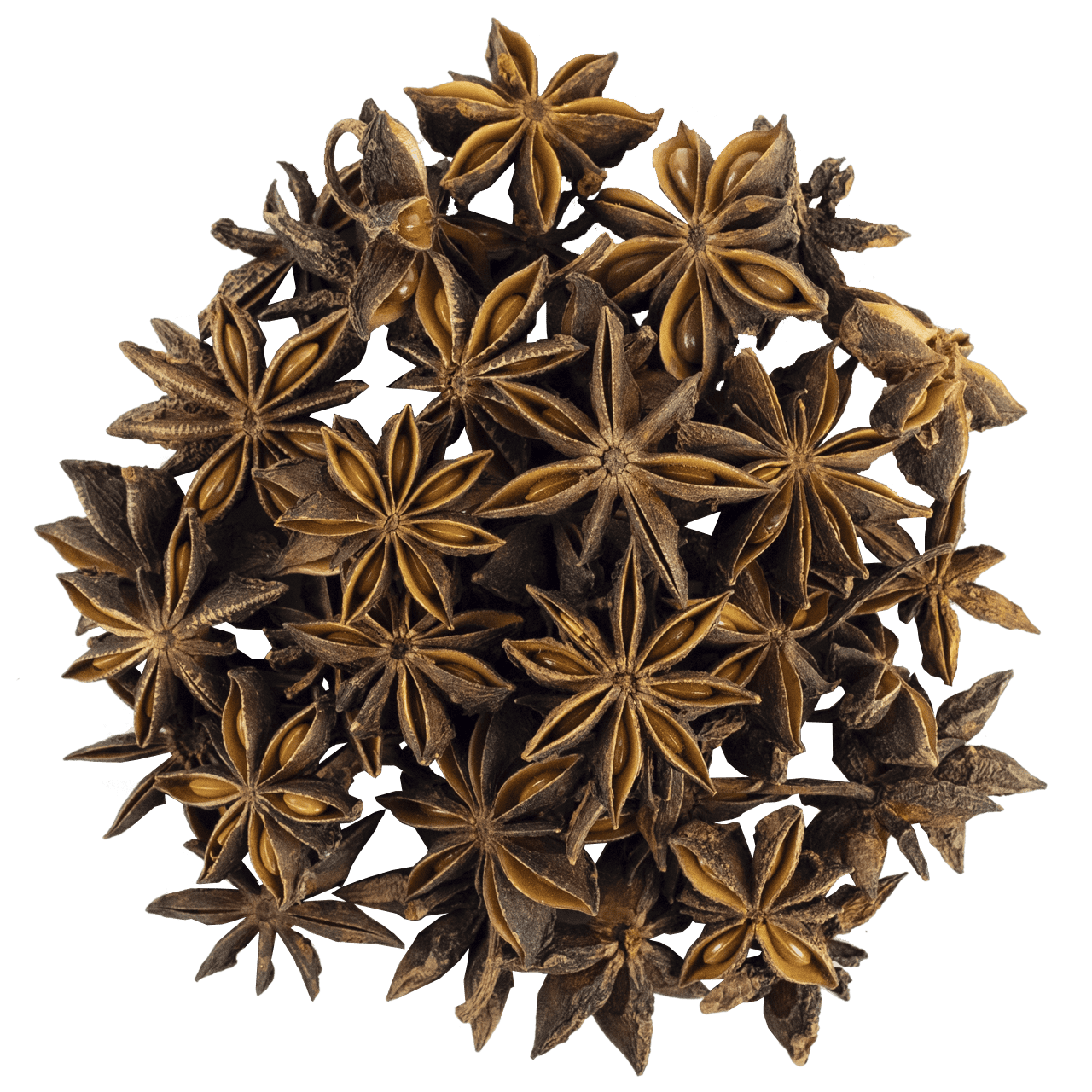 Yıldız Anason resmi