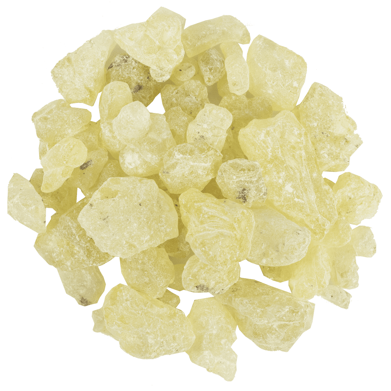 Sandaloz Sakızı resmi