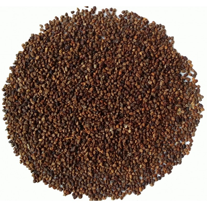 Kakule Çekirdeği resmi