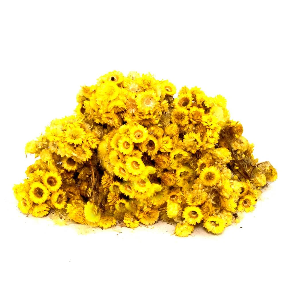 Altınbaşak Otu resmi