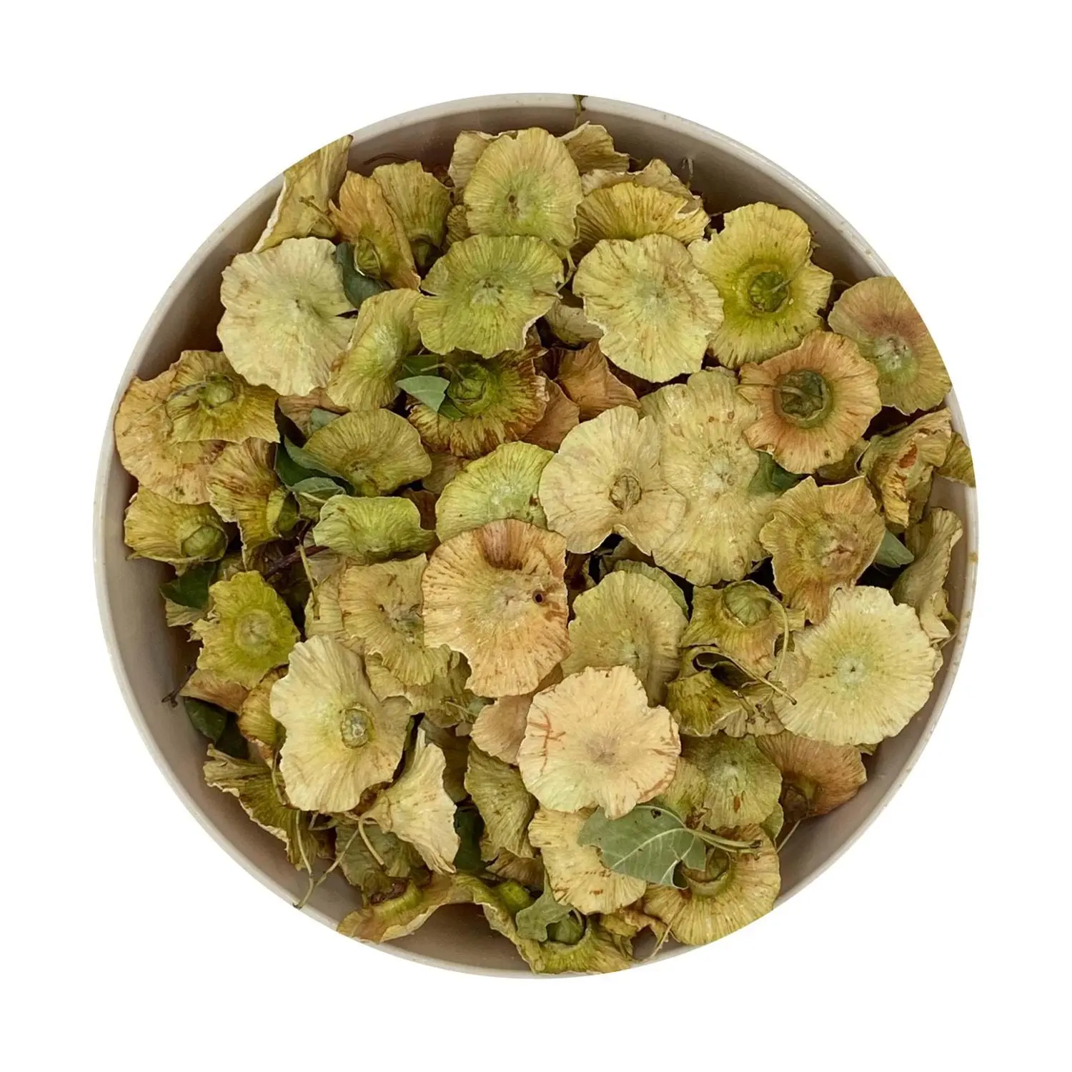 Çarkıfelek Otu (Çaltı) resmi