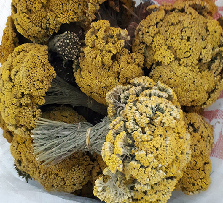 Civan Perçemi Demet resmi