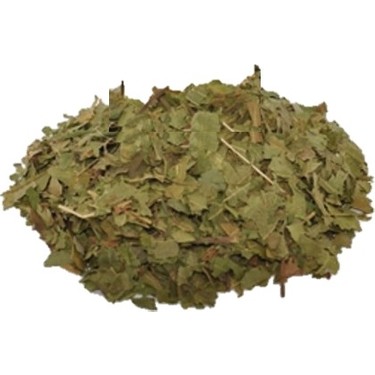 Ceviz Yaprağı resmi