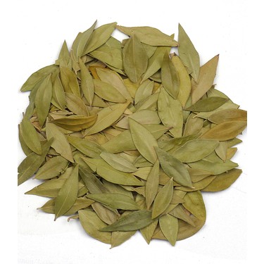 Mersin Yaprağı resmi