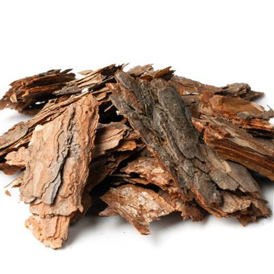 Söğüt Kabuğu resmi