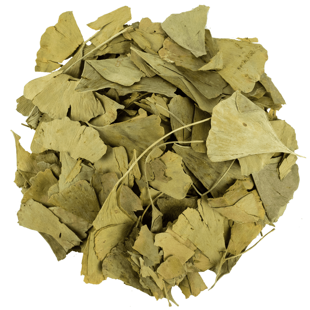 Ginko Bloba Yaprağı resmi