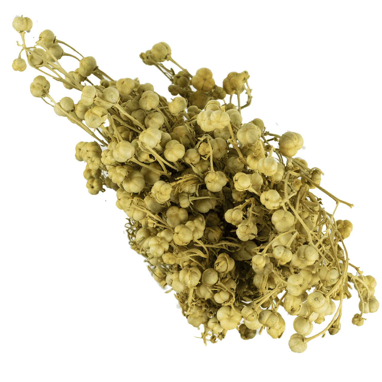 Üzerlik Demet resmi