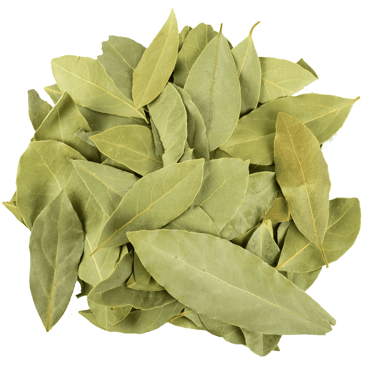 Defne Yaprağı resmi