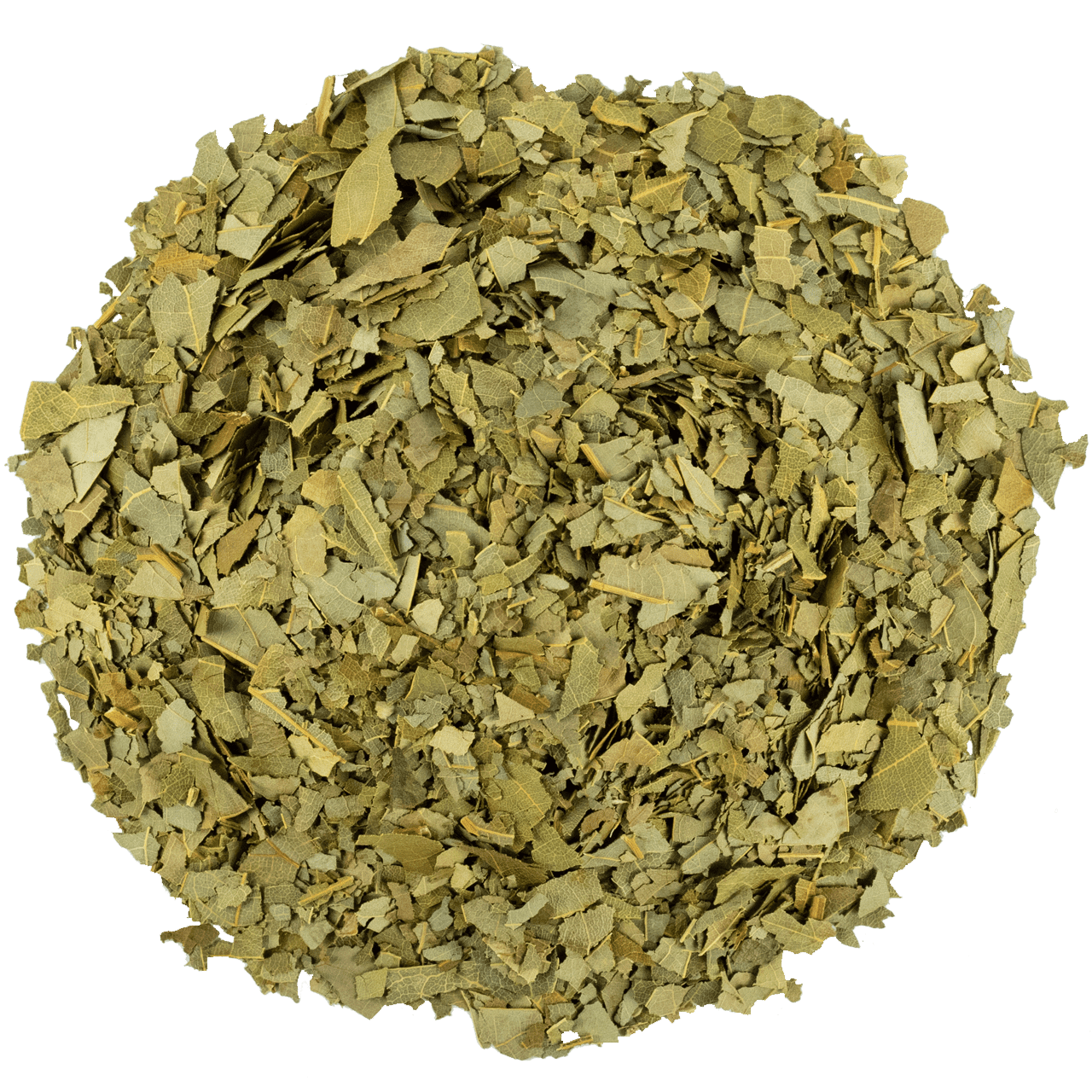 Avokado Yaprağı resmi