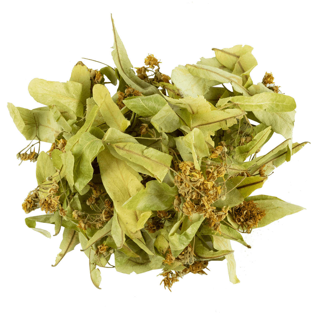 Ihlamur Yaprak resmi