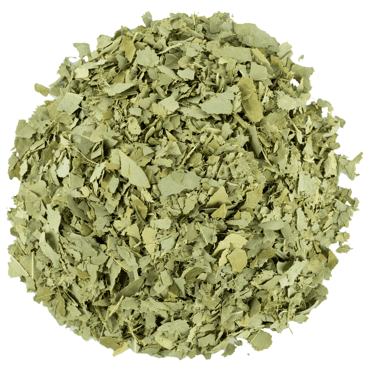 Okaliptüs Yaprağı resmi