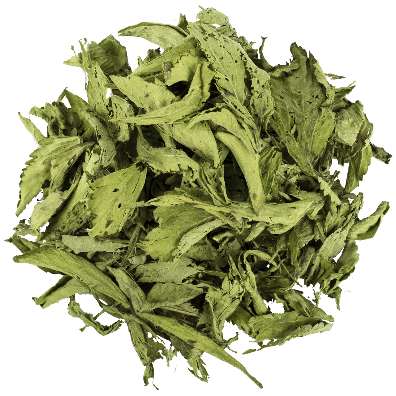 Stevia Yaprağı resmi