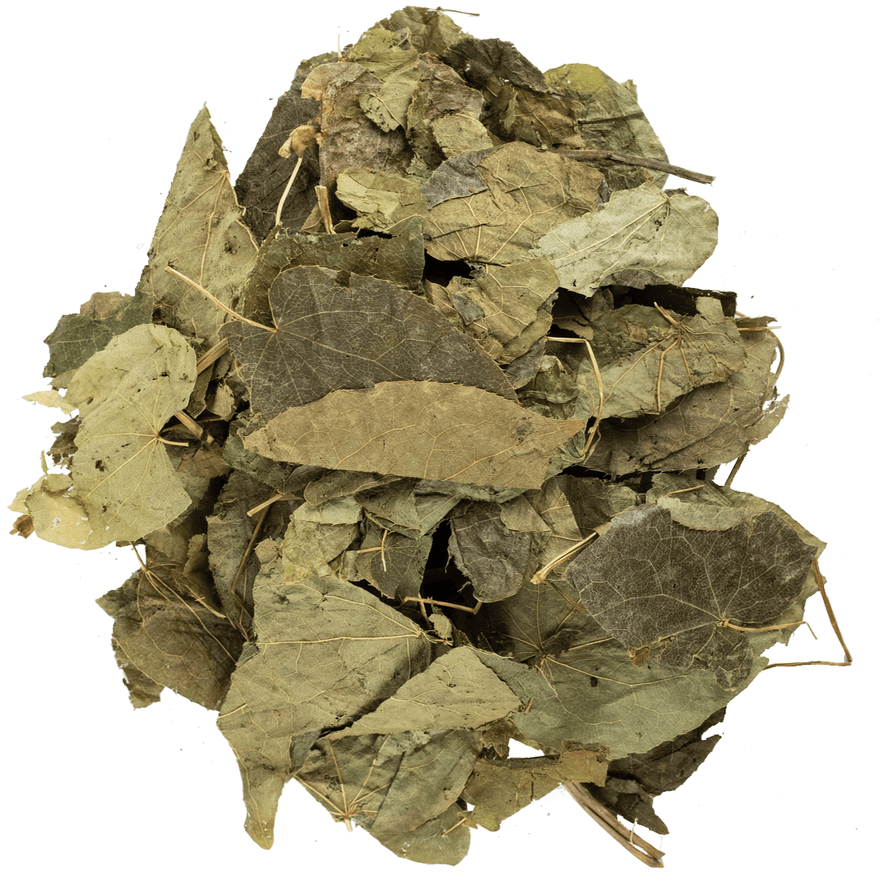 Epimedium Otu-Azgın Teke Otu resmi