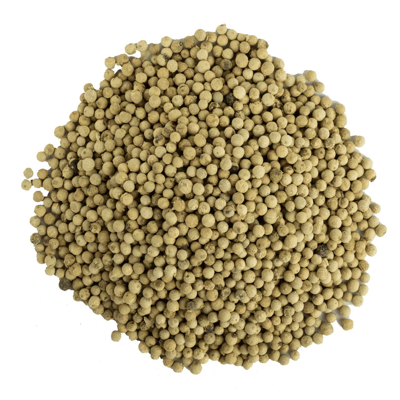 Beyaz Karabiber Toz resmi