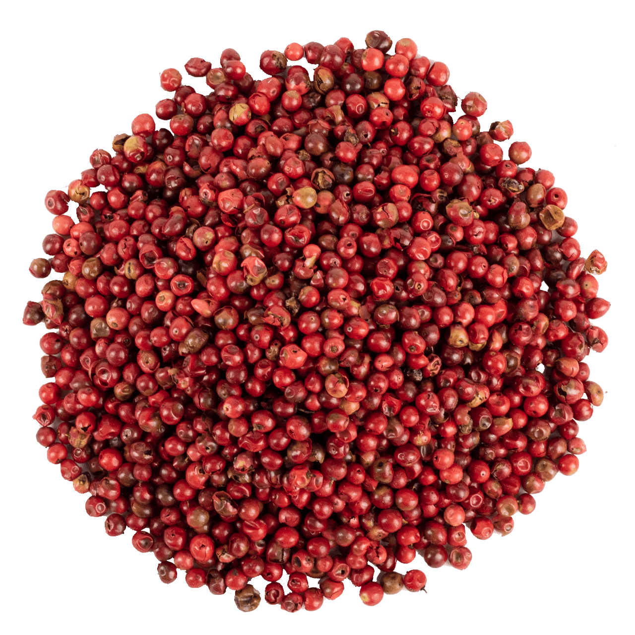 Kırmızı Karabiber resmi